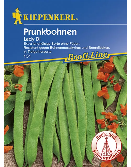 Kiepenkerl Prunkbohnen Lady Di PG N