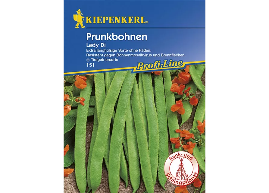 Kiepenkerl Prunkbohnen Lady Di PG N