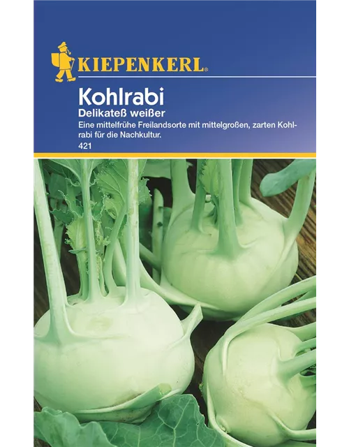 Kiepenkerl Kohlrabi Delikateß weiß PG C