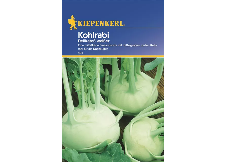 Kiepenkerl Kohlrabi Delikateß weiß PG C