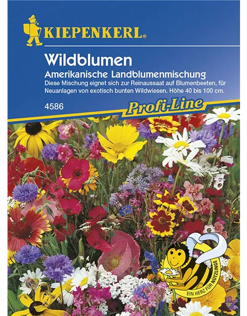 Kiepenkerl Wildbl. Am.Landblumenmix PG K