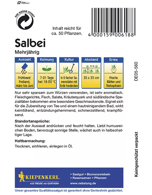 Salbei Mehrjährig KIE-C