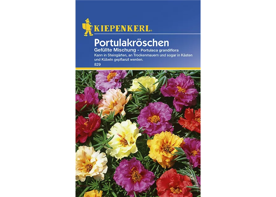 Portulakroeschen Preisgruppe B