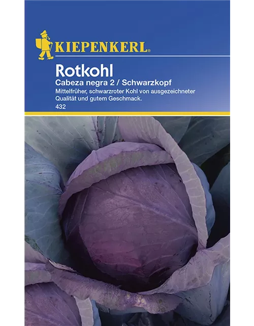 Rotkohl Schwarzkopf 2 Preisgruppe A