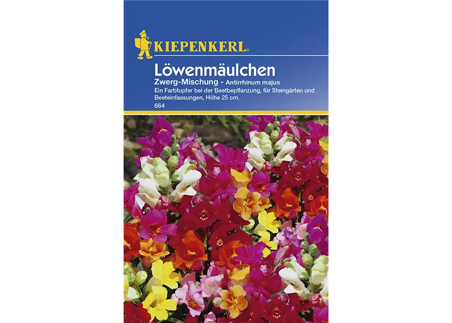 Antirrhinum Zwerg-Misch. Preisgruppe B