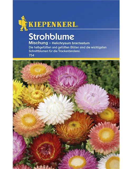 Helichrysum Mischung Preisgruppe B