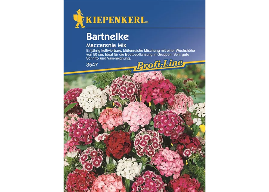 Kiepenkerl Dianth Maccarenia Mix PG O