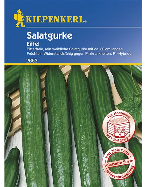 Salatgurke Eiffel KIE-T