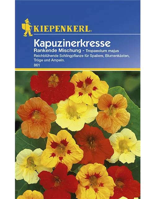 Tropaeolum Rankende Mix Preisgruppe C