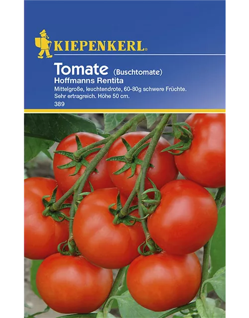 Kiepenkerl Tomate Hofmanns Rentita PG C