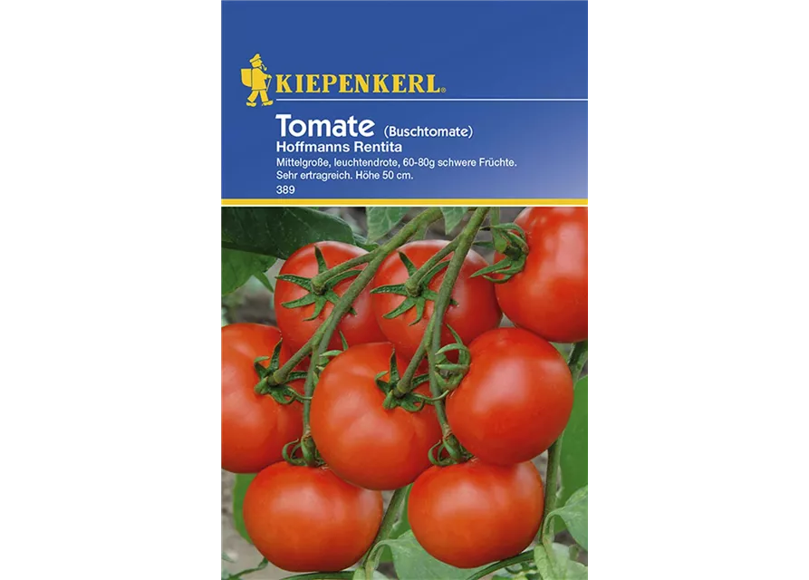 Kiepenkerl Tomate Hofmanns Rentita PG C