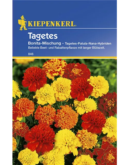 Tagetes Bonita Mischung Preisgruppe C