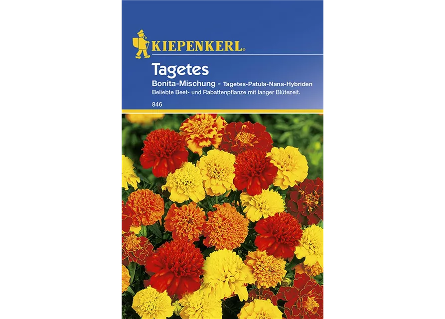 Tagetes Bonita Mischung Preisgruppe C