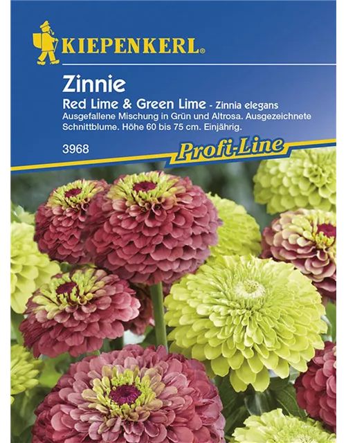 Kiepenkerl Zinnie Red Lime& Green L. PG N