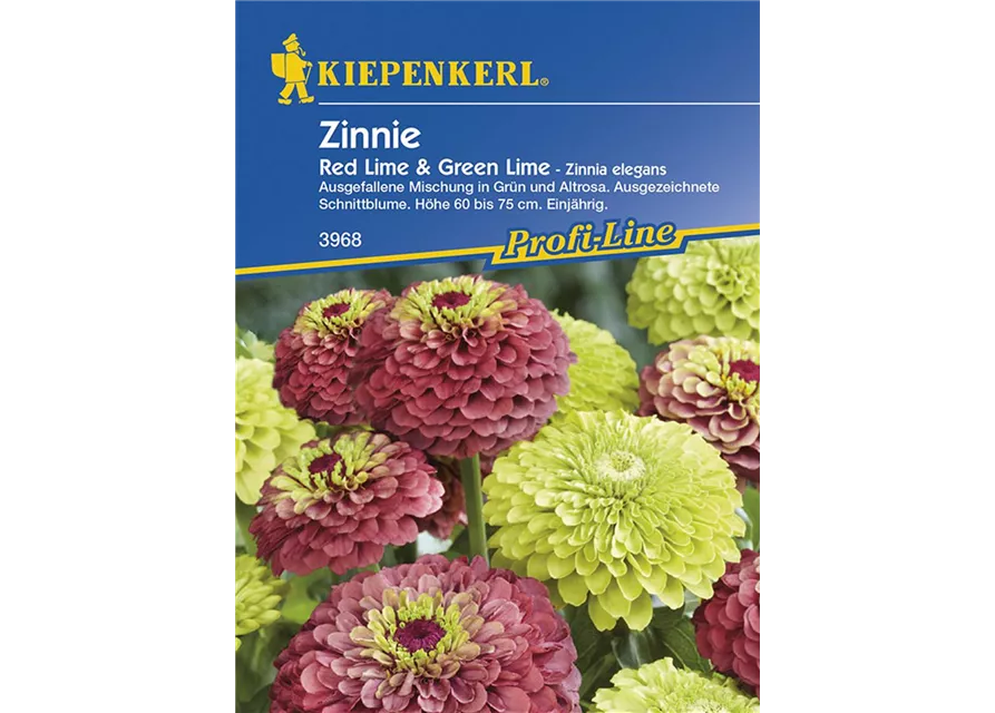 Kiepenkerl Zinnie Red Lime& Green L. PG N