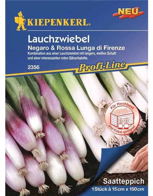 Kiepenkerl Lauchzwieb Negaro Rossa Lunga di Firenze, PG O, Saatteppich