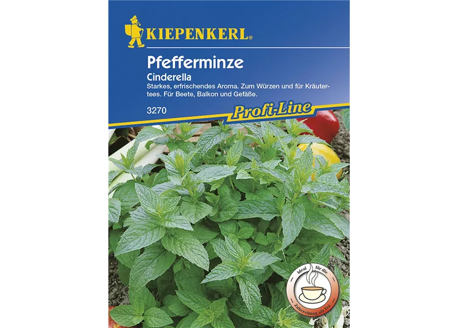 Kiepenkerl Pfefferminze Cinderella PG G