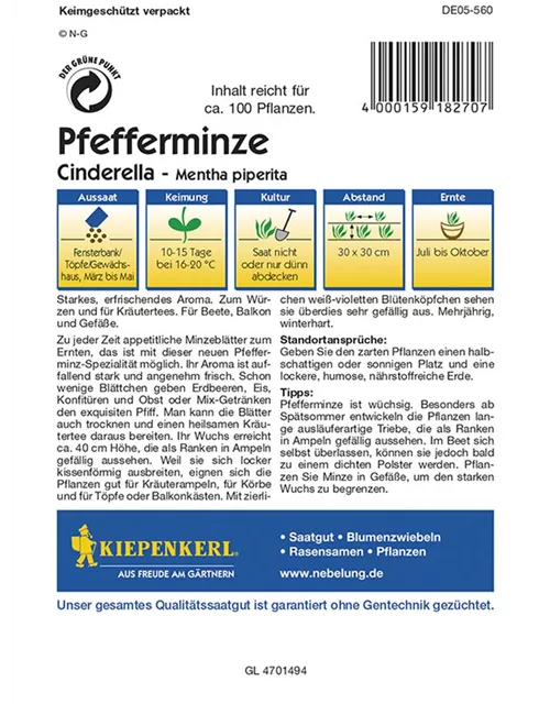 Kiepenkerl Pfefferminze Cinderella PG G