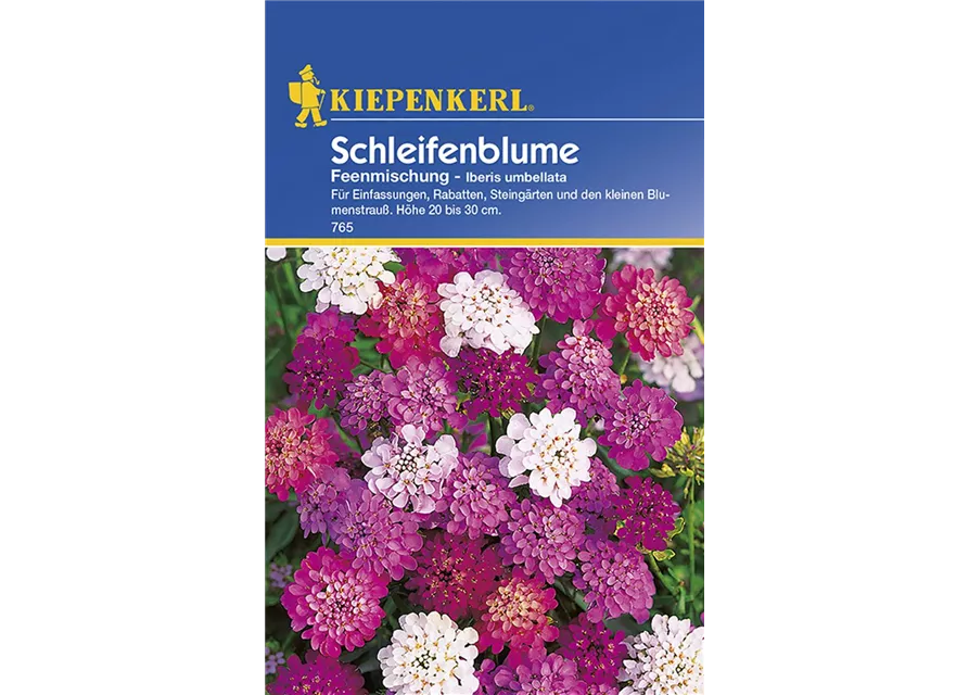 Kiepenkerl Iberis Feenmischung PG B