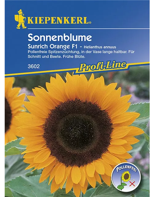 Helianthus SunrichOrange Preisgruppe N