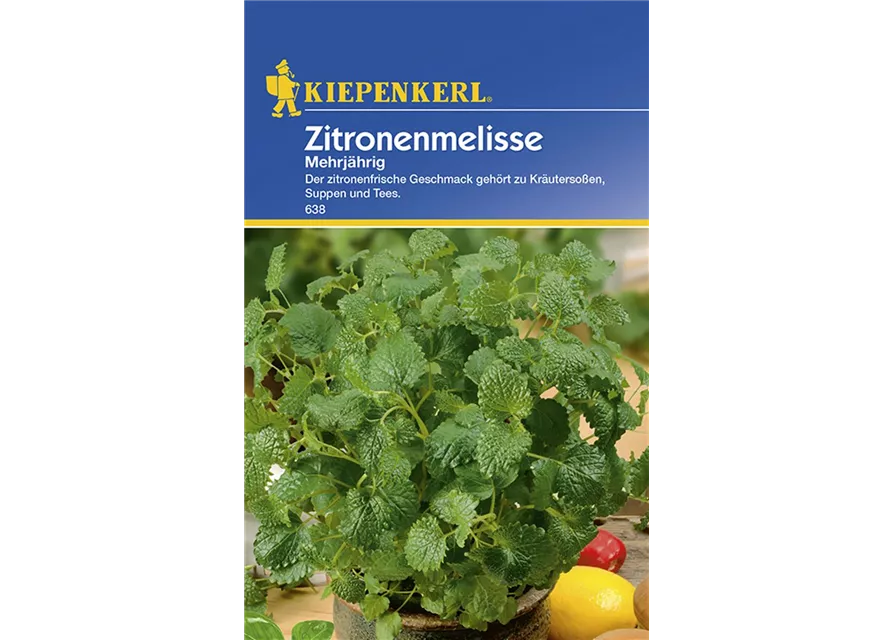 Zitronenmelisse mehrjährig