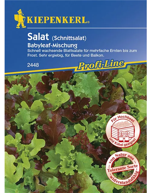 Salat Babyleaf-Mischung KIE-T