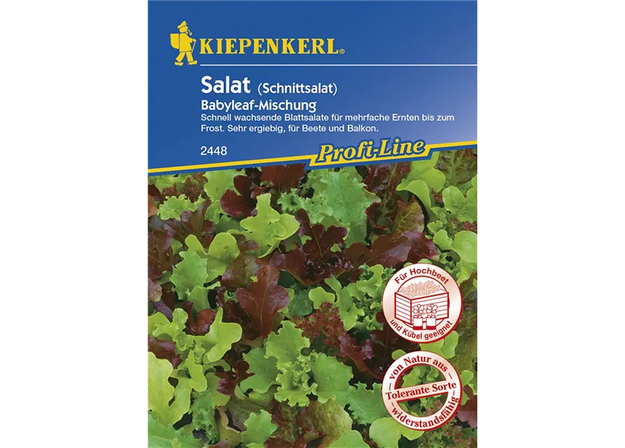 Salat Babyleaf-Mischung KIE-T