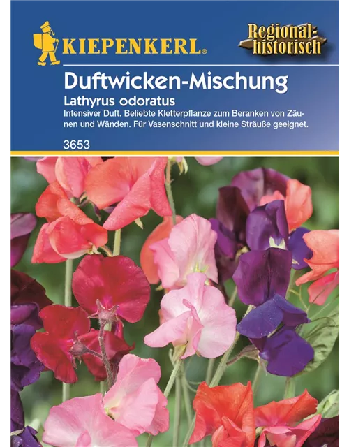 Lathyrus Duftwicken-Mix