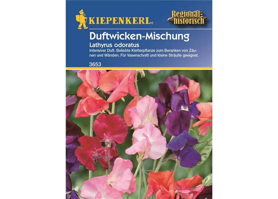 Lathyrus Duftwicken-Mix