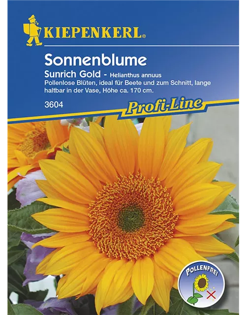 Helianthus Sunrich Gold Preisgruppe K