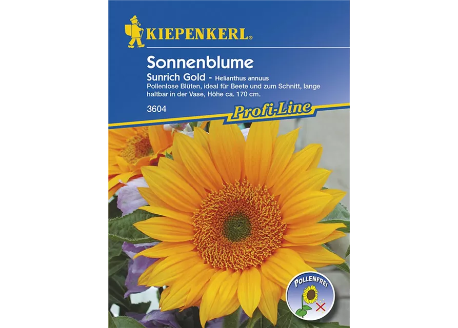 Helianthus Sunrich Gold Preisgruppe K