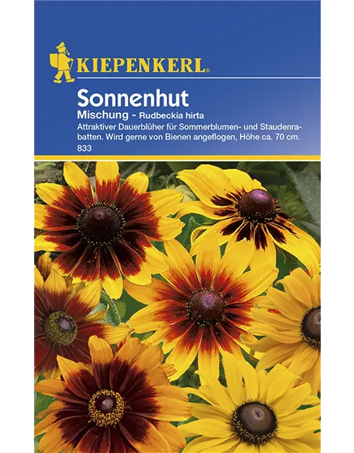 Rudbeckia Sonnenhut Mix