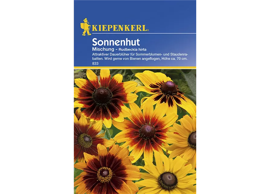 Rudbeckia Sonnenhut Mix