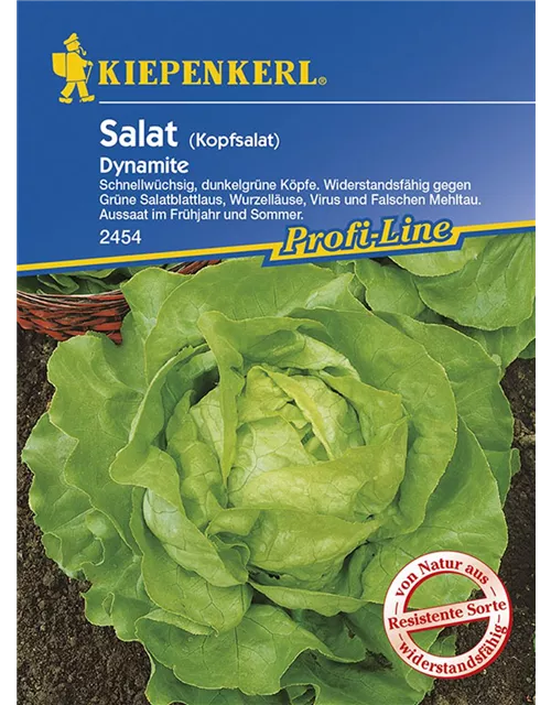 Kiepenkerl Kopfsalat Dynamite PG N