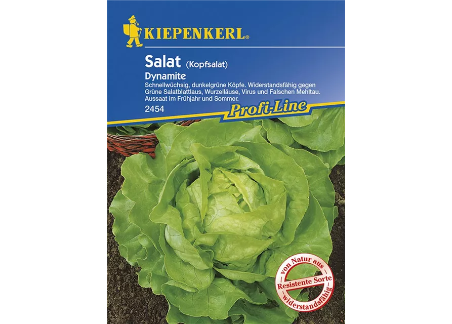 Kiepenkerl Kopfsalat Dynamite PG N