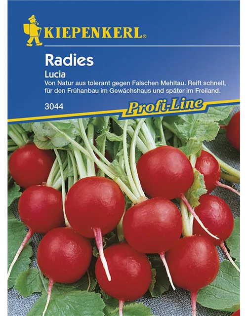 Radies Lucia Preisgruppe G