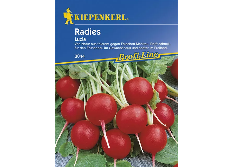 Radies Lucia Preisgruppe G