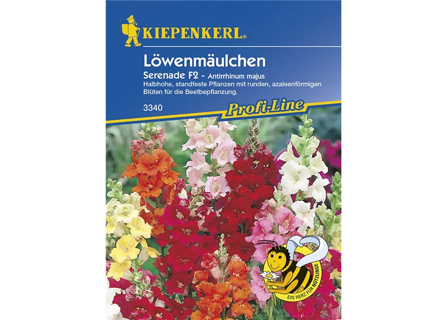 Kiepenkerl Antirrhinum Serenade F2 PG D