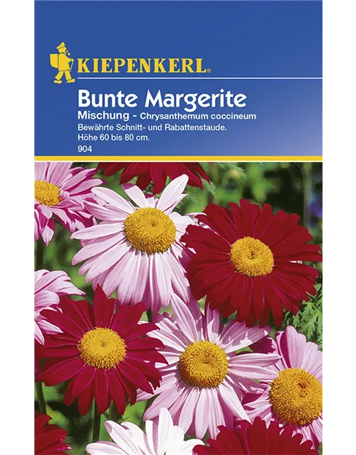 Chrysanthemum Bunte Mix Preisgruppe B