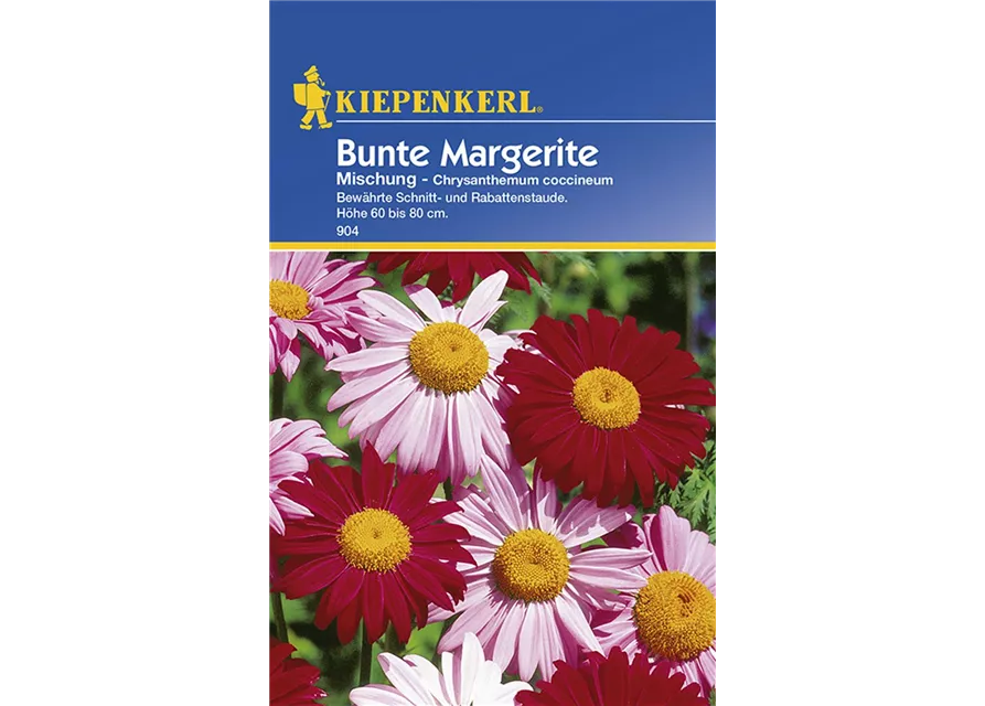 Chrysanthemum Bunte Mix Preisgruppe B