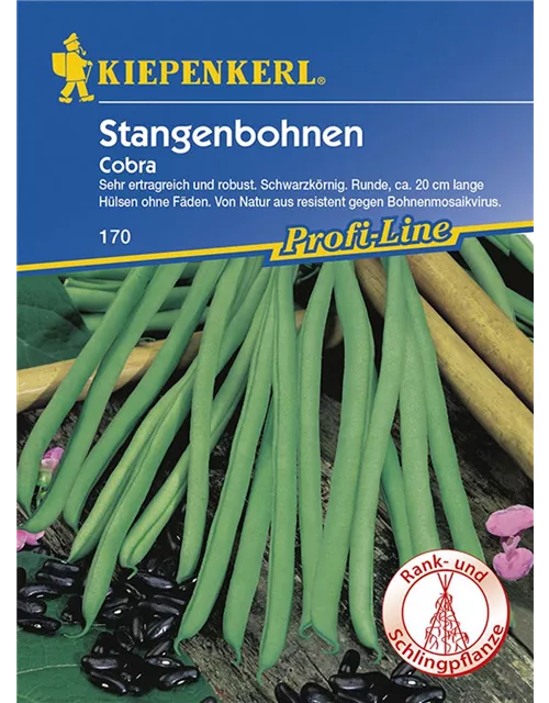 Stangenbohnen Cobra