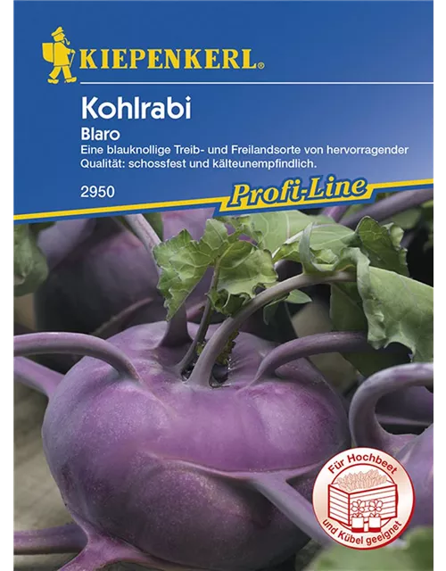 Kohlrabi Blaro Blau Preisgruppe G