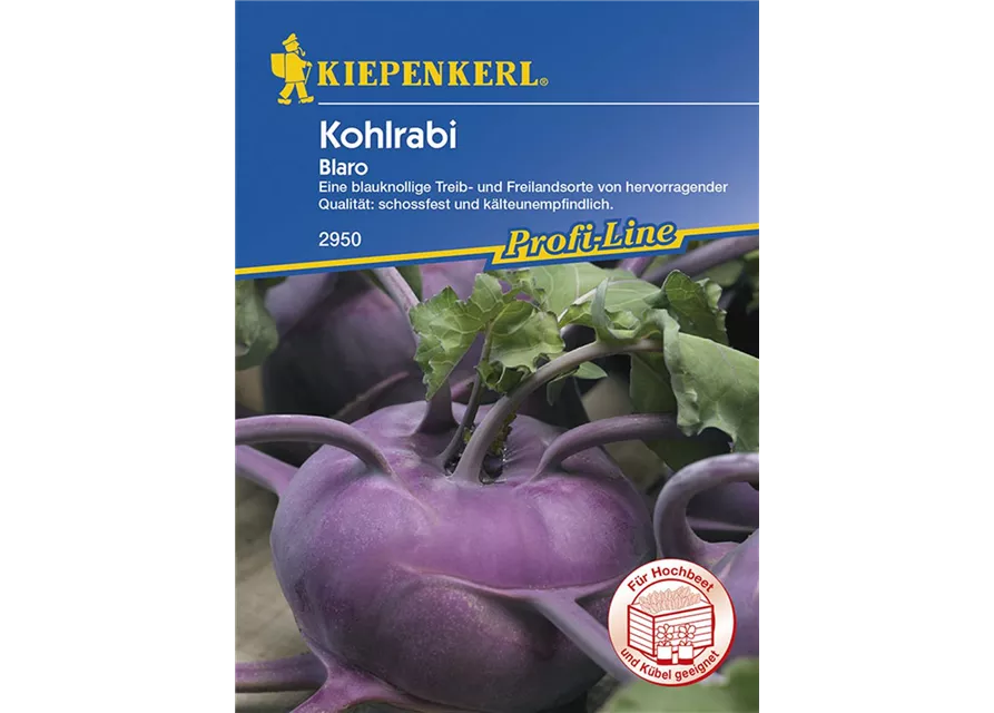 Kohlrabi Blaro Blau Preisgruppe G