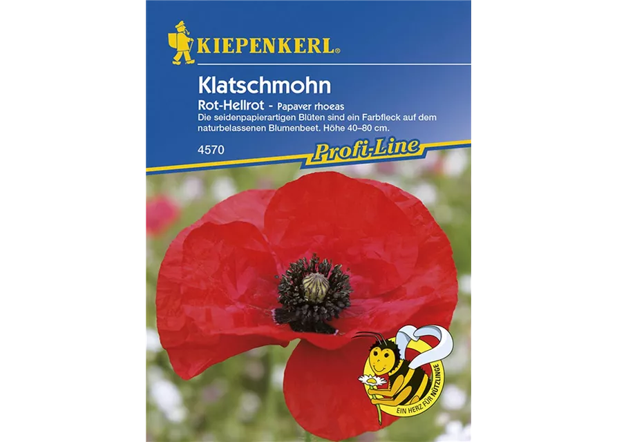 Kiepenkerl Papaver rhoeas PG G