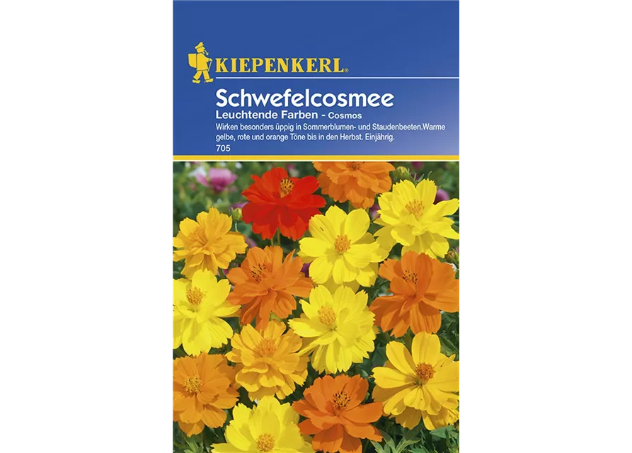 Kiepenkerl Cosmos Schmuckkörbchen PG B