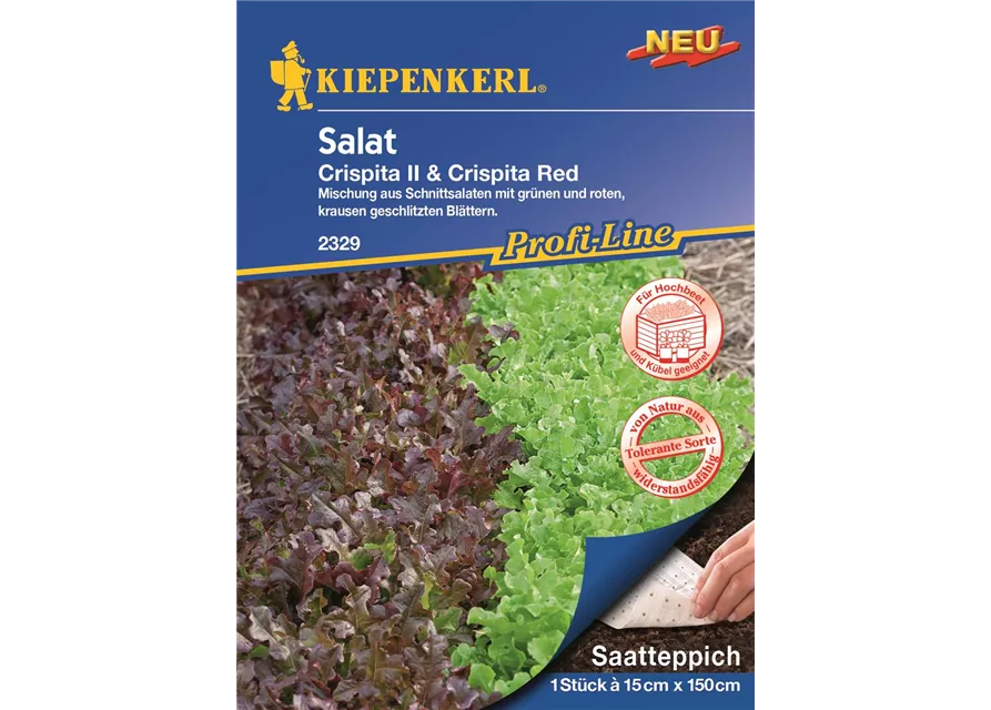 Kiepenkerl Salat Saattep Crispita II Red PG R, LS16037