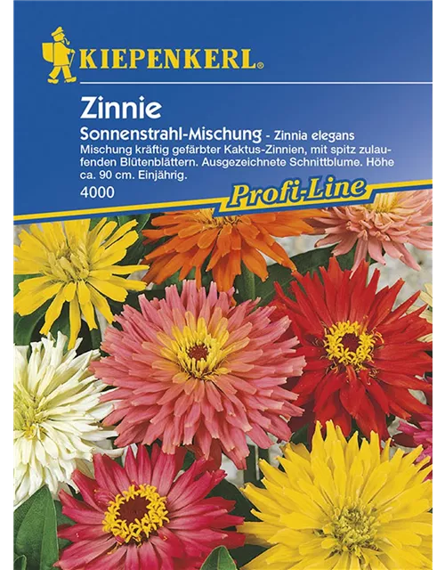 Zinnia Sonnenstrahl-Mix