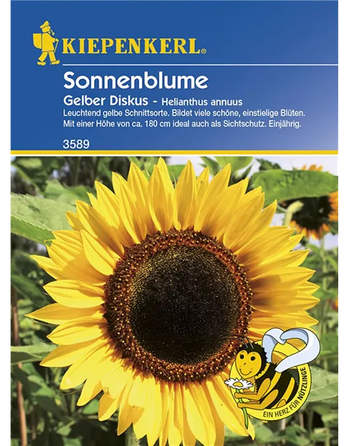 Helianthus Gelber Diskus KIE-D