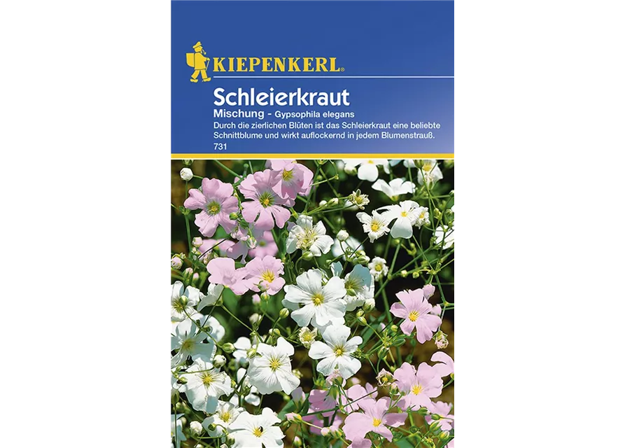 Gypsophila Mischung Preisgruppe A