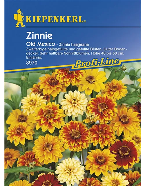 Zinnia Old Mexiko Preisgruppe D